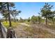 Scenic landscape featuring an expanse of shrubs and trees, including an old weathered fence at 19640 Four Winds Way, Monument, CO 80132