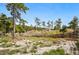 Wooded homesite on a treed lot at 19640 Four Winds Way, Monument, CO 80132
