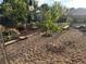 Lush backyard provides ample space for recreation, with a small swing and charming landscape at 3075 N Elm Ave, Denver, CO 80207