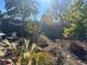 Backyard features a mix of greenery and open space, perfect for outdoor activities and relaxation at 3075 N Elm Ave, Denver, CO 80207