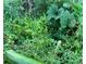 Thriving vegetable garden with tomatoes, zucchini, and lush greenery showcases potential for homegrown produce at 3075 N Elm Ave, Denver, CO 80207