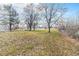 Spacious backyard with grassy area and trees at 4198 E 117Th Ave, Thornton, CO 80233