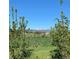 Backyard and view of distant mountains through two young trees at 3428 W County Road 4, Berthoud, CO 80513