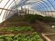 Bright greenhouse interior with rows of lush plants and organized gardening beds at 3428 W County Road 4, Berthoud, CO 80513