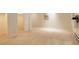 Spacious basement area with neutral carpet and ample room for customization at 160 Las Lunas St, Castle Rock, CO 80104