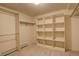 Walk-in closet with built-in shelving units, providing ample storage space at 160 Las Lunas St, Castle Rock, CO 80104