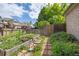 Vegetable garden with raised beds, brick walkway, and surrounding fence at 6506 S Robb Way, Littleton, CO 80127