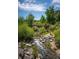 Scenic river walk with pedestrian bridge and lush greenery offers a tranquil outdoor experience at 2021 Grayside Cir, Castle Rock, CO 80109