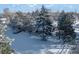 A snow-covered property features a charming brick house surrounded by mature evergreen trees at 8530 W Jefferson Ave, Denver, CO 80235