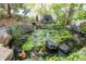 Lush koi pond showcasing serene water features, vibrant lily pads, and colorful koi fish at 11745 Newton St, Westminster, CO 80031