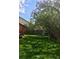 Backyard with vibrant green grass and a wooden deck partially visible, offering a peaceful outdoor space at 19634 E Clear Creek Trl, Parker, CO 80134