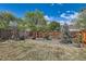 Backyard with a fence and landscaping at 15685 E 50Th Ave, Denver, CO 80239