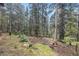 Lush wooded backyard featuring mature trees and a peaceful natural setting at 10419 Christopher Dr, Conifer, CO 80433
