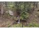 Serene backyard featuring a natural stream flowing through lush greenery and rocks at 10419 Christopher Dr, Conifer, CO 80433