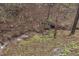 Scenic creek flowing downhill, surrounded by lush green grass and a forest of aspen and fir at 10419 Christopher Dr, Conifer, CO 80433