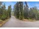 Paved driveway leading to a secluded mountain home surrounded by lush greenery at 10419 Christopher Dr, Conifer, CO 80433
