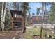 Charming exterior view of two-story homes with wood siding and large windows, set amidst lush trees at 10419 Christopher Dr, Conifer, CO 80433
