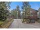 Exterior view of two homes with a long driveway surrounded by lush aspen and fir trees at 10419 Christopher Dr, Conifer, CO 80433