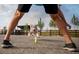 Dog excitedly chases a tennis ball at the park, framed by legs during a playful moment at 27674 E Byers Ave, Aurora, CO 80018
