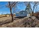 Wide shot of light blue single-story home backyard with new fence and trees at 10025 W 8Th Ave, Lakewood, CO 80215