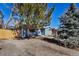 View of light blue single-story home with new sidewalk surrounded by gravel and trees at 10025 W 8Th Ave, Lakewood, CO 80215
