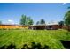 Spacious backyard with a well-maintained lawn, privacy fence, and a covered patio area, perfect for outdoor entertaining at 885 Balsam St, Lakewood, CO 80214