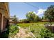 Expansive backyard with green grass, a shed, and privacy fence, perfect for outdoor activities at 885 Balsam St, Lakewood, CO 80214