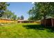 Expansive backyard featuring lush green grass, mature trees, and a charming brick home in the background at 885 Balsam St, Lakewood, CO 80214