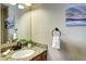 Bathroom featuring a granite countertop vanity, modern faucet, and stylish decor at 3224 White Oak St, Highlands Ranch, CO 80129