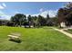 Serene common ground features lush grass, walking path, bench, and mature trees under a blue sky at 1870 S Pitkin Cir # B, Aurora, CO 80017