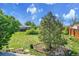 Large backyard featuring a sprawling lawn, mature trees, and a stone feature, perfect for outdoor enjoyment at 807 Mobile St, Aurora, CO 80011