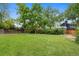 Large, well-maintained backyard with lush green grass and mature trees, perfect for outdoor activities at 8433 S Painted Sky St, Highlands Ranch, CO 80126