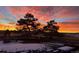 Picturesque backyard sunset highlighting vibrant sky colors and silhouette of mature trees at 18 Brixham Ct, Castle Pines, CO 80108