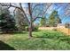 A large green backyard is framed by a new wood fence and mature trees at 13183 Spica Dr, Lone Tree, CO 80124