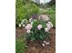 Lush garden featuring blooming pink peonies surrounded by verdant foliage, adding color and charm at 3519 S Holly St, Denver, CO 80237