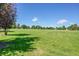 Expansive green lawn under a bright sky dotted with trees, perfect for outdoor activities and recreation at 755 S Clay St, Denver, CO 80219