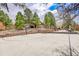 Large concrete basketball court with a hoop and ample space for outdoor recreation at 5449 Songbird Way, Parker, CO 80134
