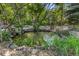 Tranquil pond with lush greenery and rocks, creating a serene outdoor oasis at 6480 W 60Th Ave, Arvada, CO 80003