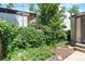 Backyard with raised planting beds and lush foliage at 3319 Newton St, Denver, CO 80211