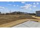 New home backyard with newly seeded lawn and a wood fence perimeter at 13920 Hanging Lake St, Parker, CO 80138