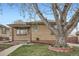 Brick home with mature tree, complemented by a well-kept lawn and a classic design at 4840 Depew St, Denver, CO 80212