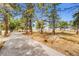 Paved walking path through a park with large pine trees at 4840 Depew St, Denver, CO 80212