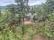 Aerial view showcasing a home enveloped by lush trees, featuring a fenced yard and natural surroundings, offering serene privacy at 7273 Silverhorn Dr, Evergreen, CO 80439