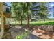 Stone patio outside home overlooking well maintained lawn at 3311 Klondike Pl, Castle Rock, CO 80108