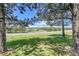 Scenic view through trees of a picturesque landscape with rolling hills and open sky at 3311 Klondike Pl, Castle Rock, CO 80108
