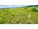 Expansive lot with natural landscape and scenic views of the mountains and a pond at 12743 W Bowles Pl, Littleton, CO 80127