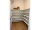 Walk-in pantry with plenty of shelving space for storage and organization at 898 Coal Bank Trl, Castle Rock, CO 80104