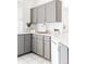 Updated kitchen featuring gray cabinetry, stainless steel sink, and modern countertops at 1000 N Ogden St, Denver, CO 80218