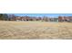 A view of the neighborhood open space featuring a nearby playground at 9814 Norfolk St, Commerce City, CO 80022