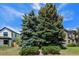 Exterior shot of a home with lush green trees in front of it, under a brilliant blue sky with fluffy white clouds at 1665 S Madison St, Denver, CO 80210